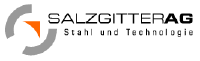SALZGITTER AG - Eckdaten des Geschäftsjahres 2010