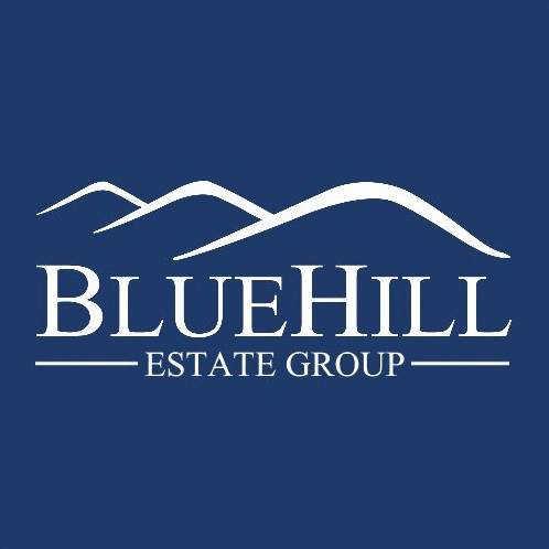 Logo der Firma BlueHill Estate Group Valuation & Advisory GmbH