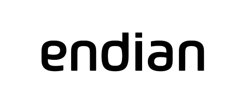 Logo der Firma Endian SRL