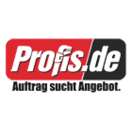 Logo der Firma PROFIS.de - eine Unternehmung der Bild.T-Online AG & Co. KG