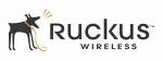 Logo der Firma Ruckus Wireless