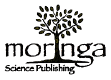 Moringa Science Publishing revolutioniert wissenschaftliches Publizieren mit der Blockchain Technologie