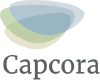 Capcora arrangiert Mezzanine-Finanzierung für EYEMAXX Real Estate AG