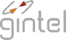 company logo gintel
