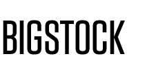 Company logo of Bigstock