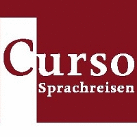 Logo der Firma Curso eG