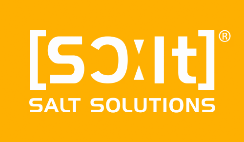 Logo der Firma SALT Solutions AG