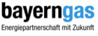 Company logo of Bayerngas GmbH