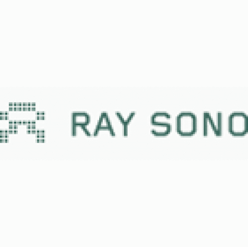 Company logo of Ray Sono AG