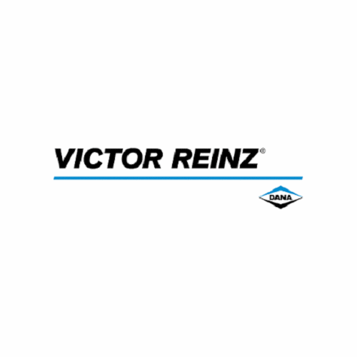 Logo der Firma REINZ-Dichtungs-GmbH
