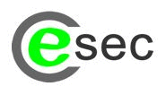 Company logo of ecsec GmbH