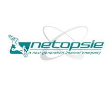 Logo der Firma Ingenieurbüro netopsie