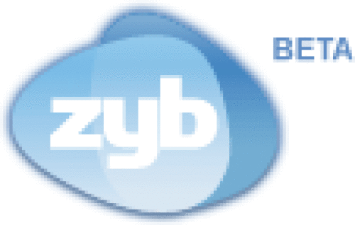 Logo der Firma ZYB
