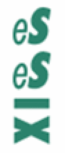 Company logo of eSeSIX Computer GmbH