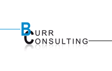 Logo der Firma BURR Consulting