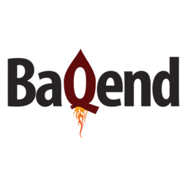 Logo der Firma Baqend GmbH