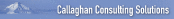 Firmenlogo Callaghan Consulting Solutions