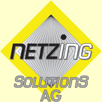 Logo der Firma NETZING Solutions AG