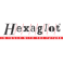 Firmenlogo Hexaglot Holding GmbH