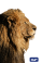 Firmenlogo GLP GmbH