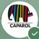 Firmenlogo Caparol Farben Lacke Bautenschutz GmbH