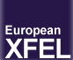 Claudia Burger neue kaufmännische Geschäftsführerin und Verwaltungsdirektorin bei European XFEL