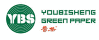 Youbisheng Green Paper AG: Rekordergebnis in 2011
