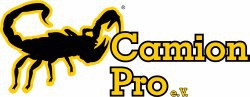 Logo der Firma Camion Pro e.V.