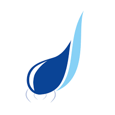 Logo der Firma Dropedo GmbH
