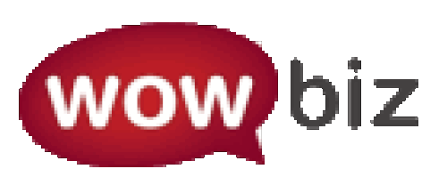 Logo der Firma WowBiz