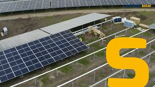 Solarpark Bavelse Berg, Breda II