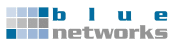 Firmenlogo blue networks GmbH & Co KG