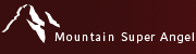 MOUNTAIN SUPER ANGEL AG beteiligt sich an der PublicSolution GmbH
