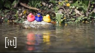 Ostern bei itl – Der Ausflug der itl-Enten