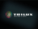 Firmenlogo TRILUX GmbH & Co. KG