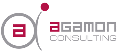 Logo der Firma AGAMON Consulting GmbH
