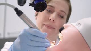 alphadidact® Digital Multimedia System im Dental-Schulungslabor