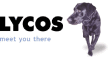 Firmenlogo Lycos, Inc.