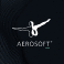Firmenlogo Aerosoft GmbH