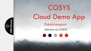 COSYS Paket Transport Lösung