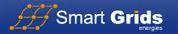 Logo der Firma Smart Grids AG