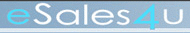 Erfolgsfaktoren im Online Handel