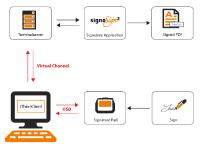 Rangee: Now also thin client connection via Virtual Channel