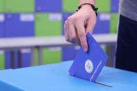 Vote-Domains - the domains for elections