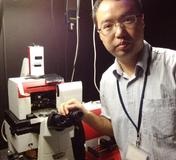 Erforschung des Polymerisationsprozesses von Aktinfasern mit JPKs optischer Pinzette am Mechanobiology Institute der Nationalen Universität Singapur