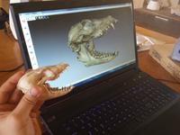Artec 3D-Scanner dokumentieren prähistorisches Erbe in Kenia