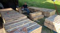 Gold ist eine Versicherung