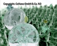 Was ist eigentlich Nanotechnologie?
