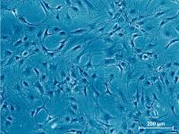 Detect cell changes faster