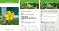 ORBIT entwickelt Lern-App für die Azubis im Garten- und Landschaftsbau